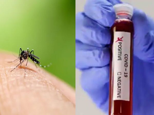 dengue prevention tips