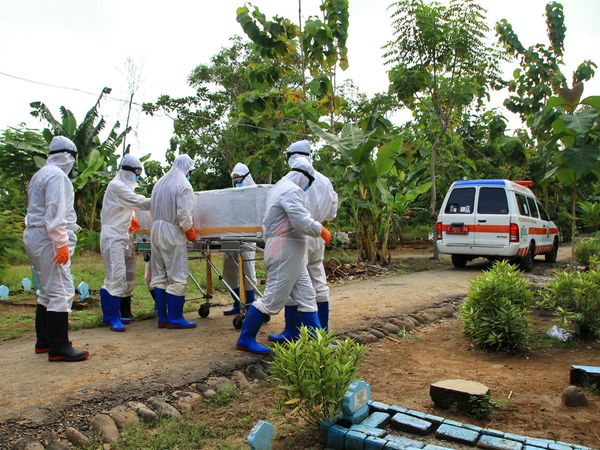 WHO gave news of relief, covid deaths fell by 15%, Infection rate also decreased