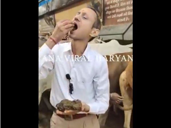 Haryana doctor eats cow dung says it purifies body mind and soul watch viral video