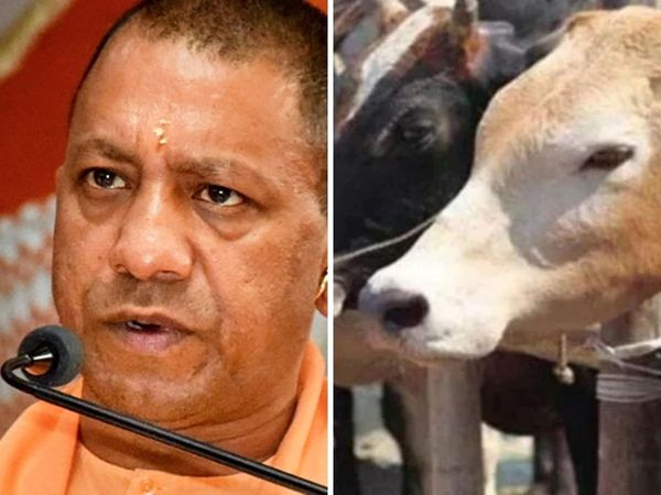 BJP spokerperson Dr. Chandramohan reacts on UP cabinet ordinance on cow slaughter
