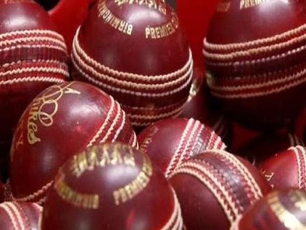 cricket ball
