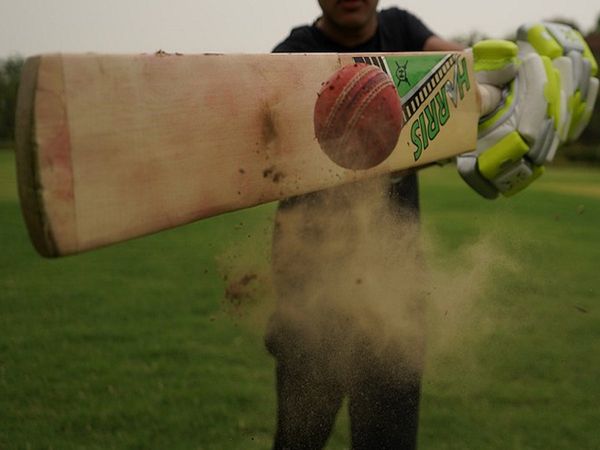 cricket bat
