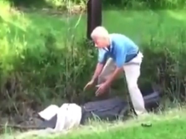 shocking video Crocodile attack video goes viral on social media