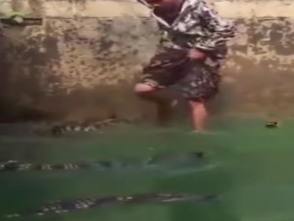 man jumped among crocodiles then what happened watch shocking Video