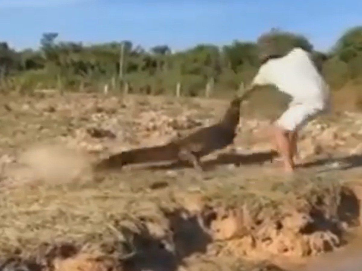 VIDEO: मगरमच्छ को बार-बार उंगली दिखा रहा था शख्स, 'समंदर के सिकंदर' ने जो किया उसे देख रोंगटे खड़े हो जाएंगे