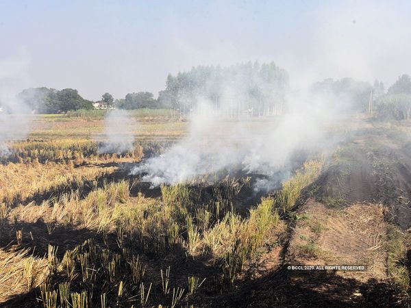 why do farmers burn stubble