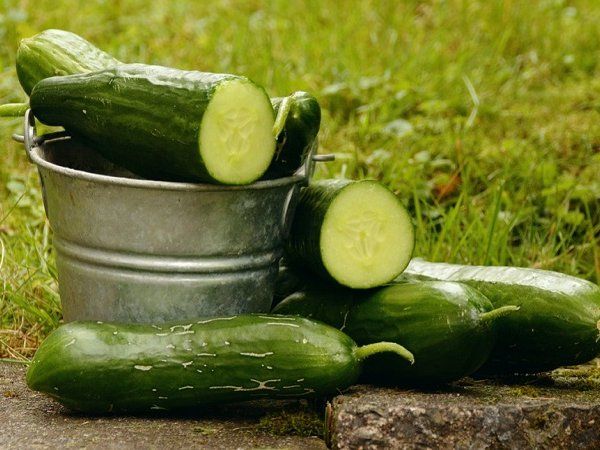 cucumber side effects
