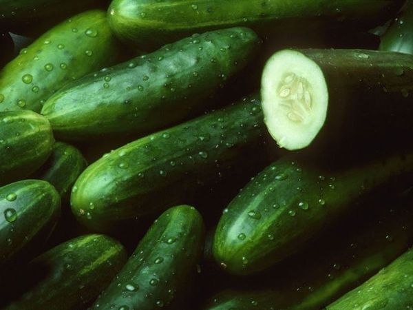 cucumbers benefits