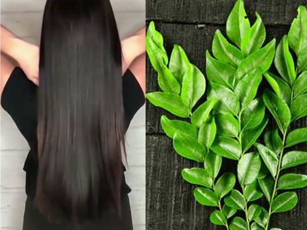 Curry leaves for Hair Growth