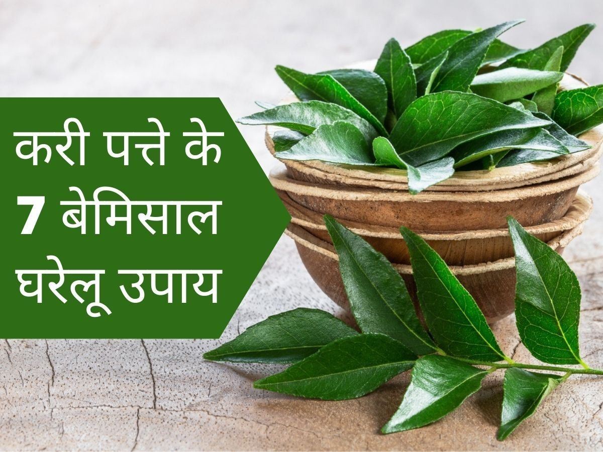 How to Use of Curry leaves Kadi Patta for Hair Benefits of Kadi Patta