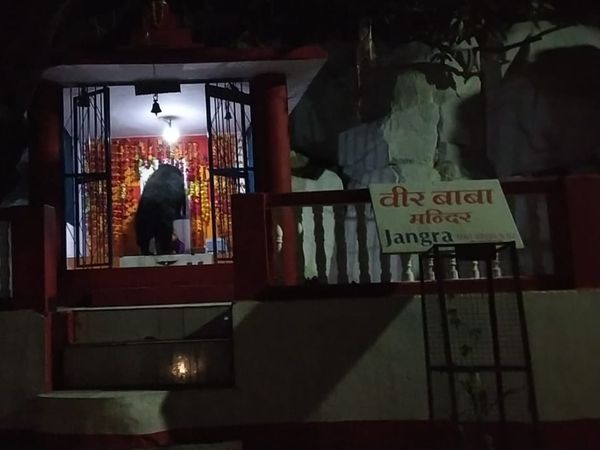 Mountabu: Bear in the temple