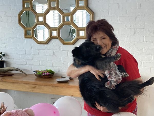 Dale Steyn mother got scared after three attempts of theft at home