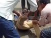 dalit thrashed