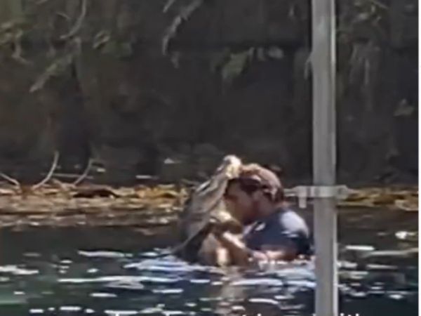 Shocking Video Man Dance With crocodile in water video goes viral