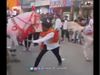 Man Dance in Front of Horse Then What Happened Watch Funny Video