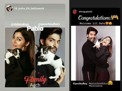 Debina Bonnerjee Gurmeet Choudhary welcome a new family member Debina Bonnerjee Gurmeet Choudhary welcome a new family member