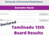tn result, tn sslc result, tn sslc result 2022, tamil nadu sslc result, 