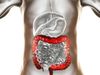 How to improve digestive system