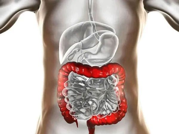 How to improve digestive system