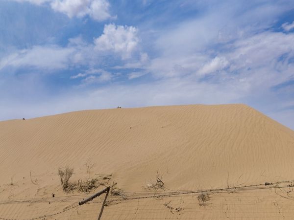 desertification and drought