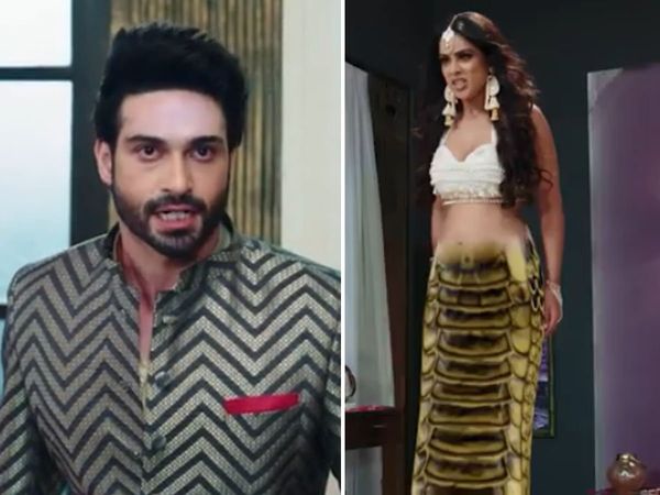 Naagin 4 Update Rashami desai Become home baker in Dev brinda Aka Nia sharma vijayendra kumeria life