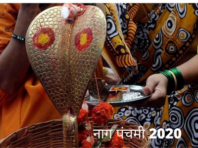 Tradition of feeding snakes on Nag Panchami, नाग पंचमी पर सांपों को दूध पिलाने की परंपरा Tradition of feeding snakes on Nag Panchami, नाग पंचमी पर सांपों को दूध पिलाने की परंपरा
