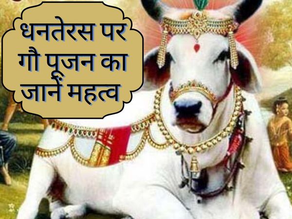 dhanteras 2020 cow gau mata pujan for health and wealth 