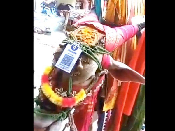  digital payments video