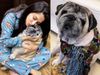 Dipika Kakar dog Cuddle Death TV Actress shares last picture with emotional note