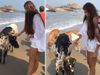 Aditya roy kapur Malang Co Star disha patani Spending Time With Cow Viral video