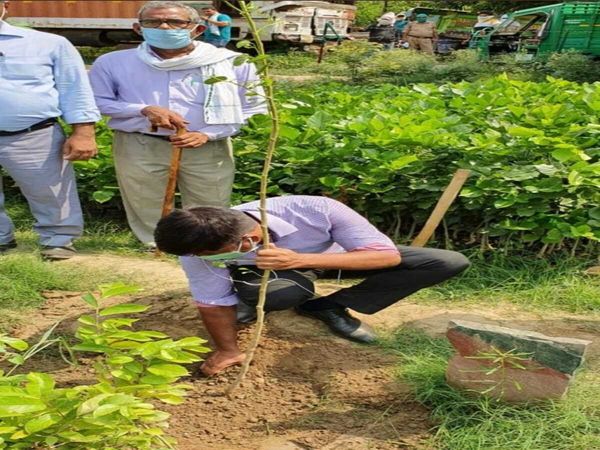 Van Mahotsav in Agra