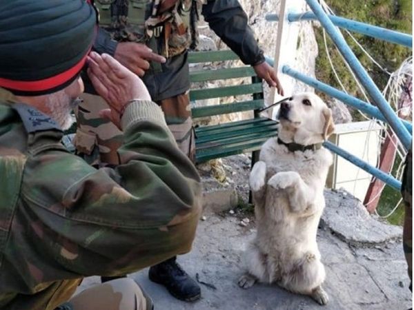 Dog Menaka saluting Army commander pic goes viral on social media know story behind it