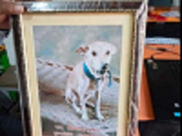 स्‍ट्रीट डॉग से ऐसा प्‍यार! बैंड बाजे के साथ निकाली शवयात्रा, तेरहवीं पर लोगों को कराया भोजन