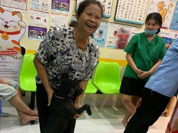 बड़ी दिलचस्प है उस कुत्ते की जर्नी, क्लिनिक के जरिए पहुंचता है अपने मालिक के घर, [Watch Video]