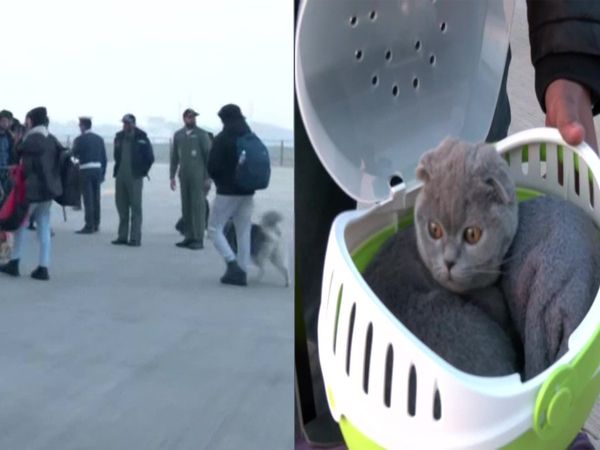 Indian students also brought dogs and cats from Ukraine, people trapped under Operation Ganga are being brought back
