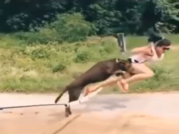 Dog Woman Video Kutte ke chakkar mein gir padi mahila funny video in hindi