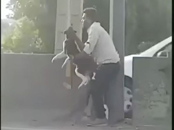 Today Viral Video man save Dog life heart touching viral video in hindi