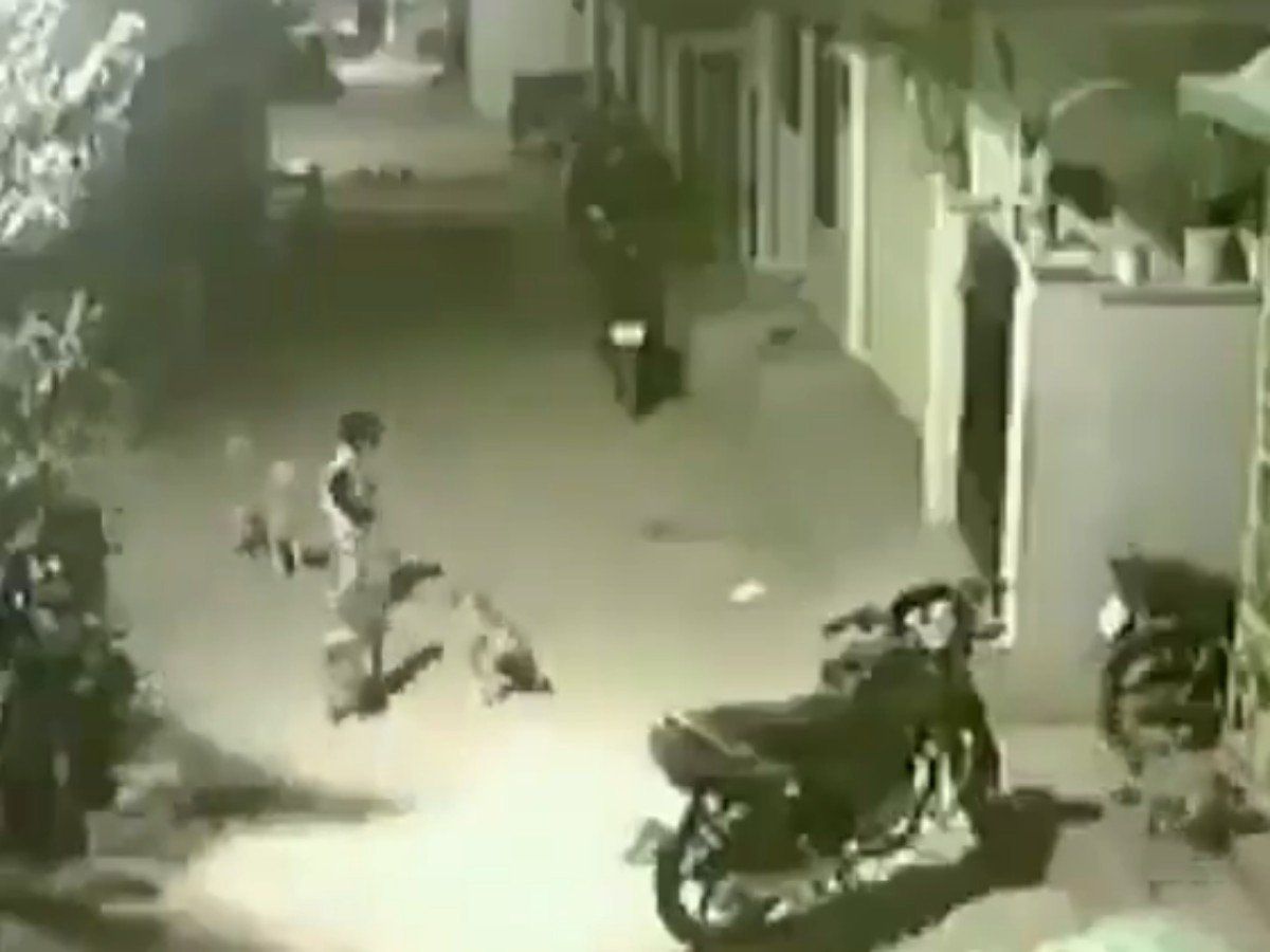 अपनी बहन को बचाने के लिए कुत्तों से भिड़ गया ये बहादुर बच्चा, वीडियो जीत रहा लोगों का दिल