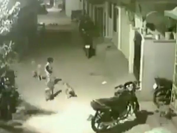 Boy bravely save His Sister From Group Of dog Watch Viral Video