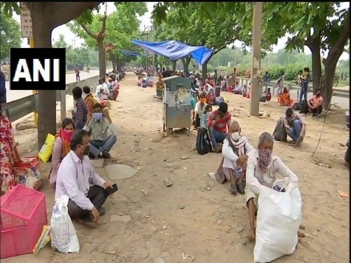 ई-श्रम पोर्टल पर 8 करोड़ का आंकड़ा पार,50 फीसदी कृषि क्षेत्र के लोग, मिलेगा ये फायदा