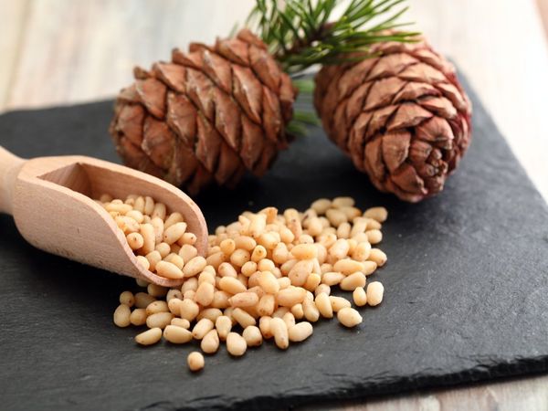 amazing benefits of pine nuts