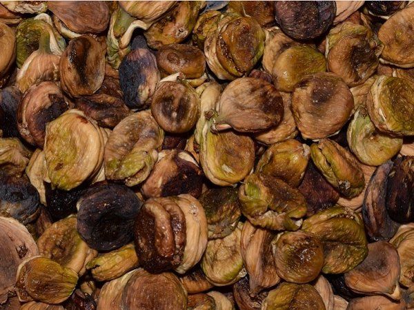 eating fig in summer benefits