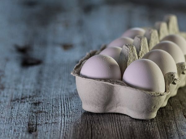 मुर्गी के 3 अंडों पर भिड़े पति-पत्‍नी, फिर थाने तक पहुंचा मामला, पुलिस ने दिलचस्‍प अंदाज में कराई सुलह