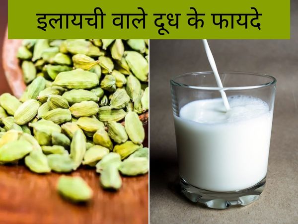 benefits of cardamom with milk 