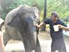 animal lover Akhtar Imam gave his property to 2 elephants in Bihar