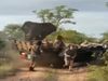 Elephant Attack On Tourists Watch Viral Video