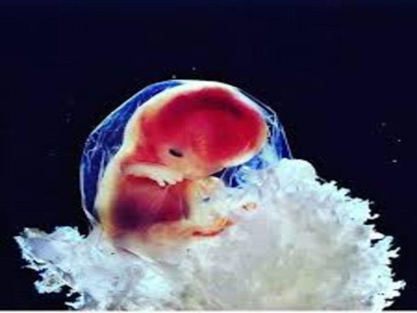 Chandigarh Crime News: