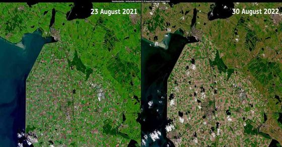 Europe Drought 2022 Satellite images show how European country turned ...