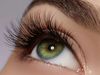 Home remedies For thick eyelashes naturally in hindi