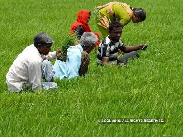 Government gives big relief to farmers